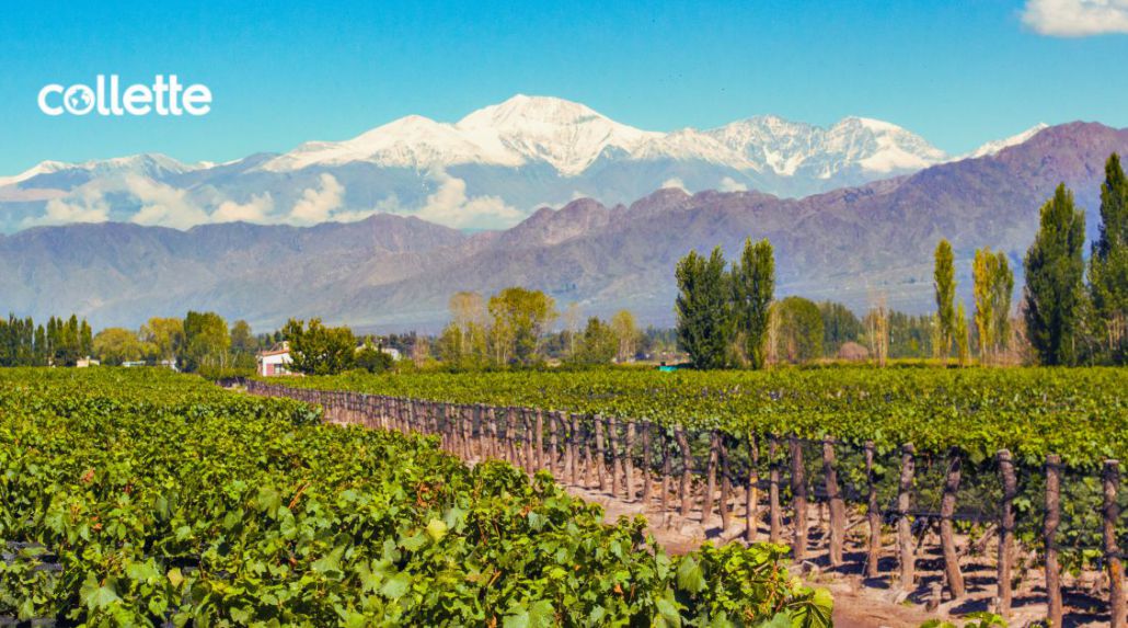 Essential South America