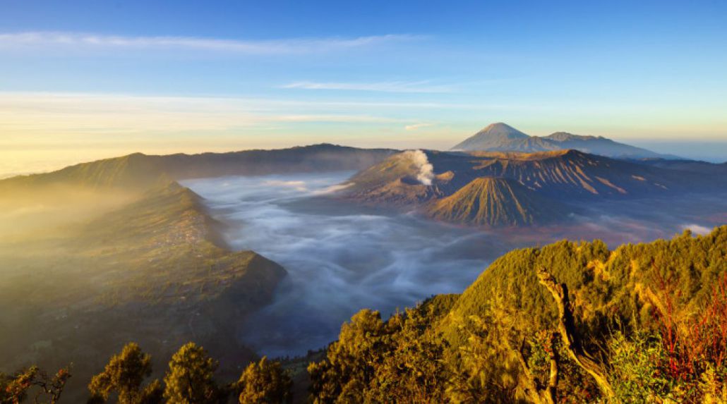 40-Day Grand World Voyage with Holland America